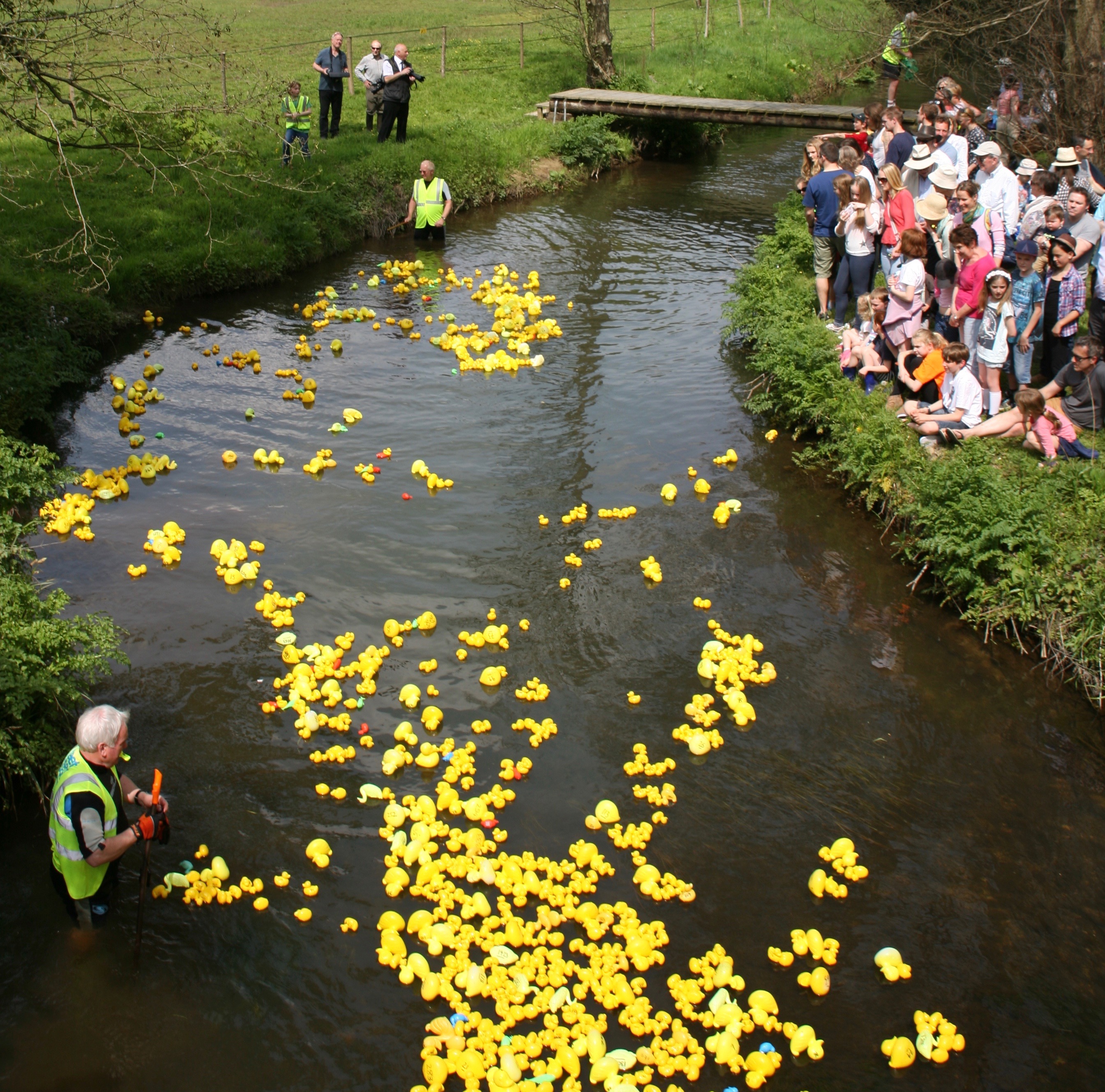 Duck Race Image (1)